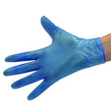 Clear Vinyl Gloves